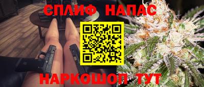 молекула духа Пугачёв