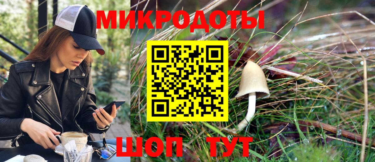 Псилоцибиновые грибы MAGIC MUSHROOMS  Вход с VPN  Тайшет 