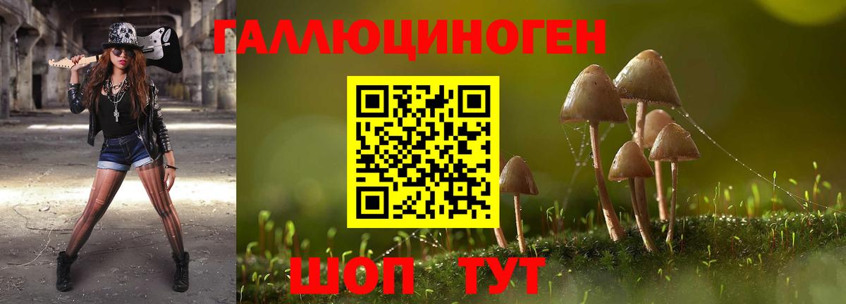 Галлюциногенные грибы MAGIC MUSHROOMS Тайшет